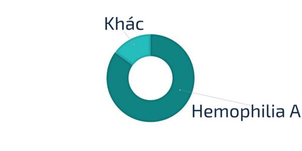 phan-loai-hemo.jpg